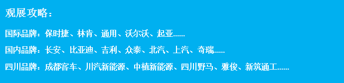 新城快报新能源汽车专题（观展攻略） (1)387.png