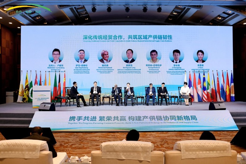 “深化传统经贸合作，共筑区域产供链韧性”专题研讨。实习生韩青化祎摄
